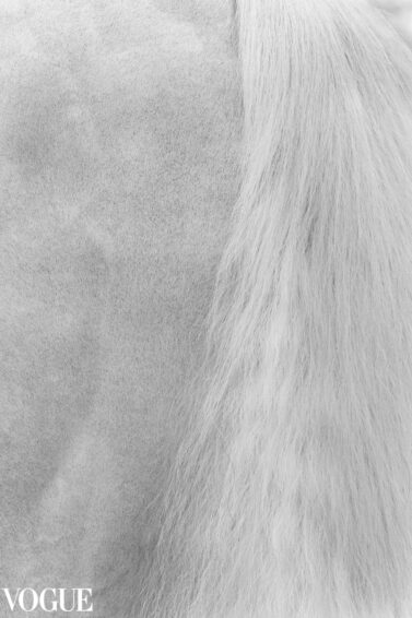 BERNI III, cavalo branco em preto e branco, selecionado para PhotoVogue