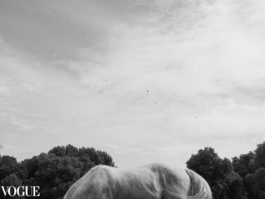BERNI IX, cavalo branco em preto e branco, selecionado para PhotoVogue