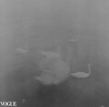 Sentimental Journey IX, PhotoVogue. Cisnes envoltos em névoa sobre o Sena, imagem abstrata, fotografia fine art em filme preto e branco de médio formato.