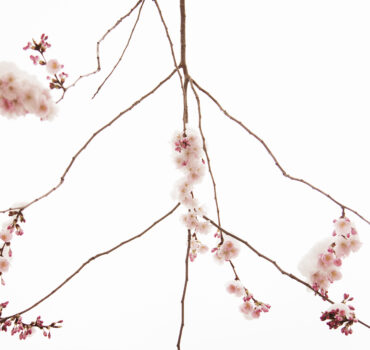 WHEN WINTER MET SPRING - Miniatura 2