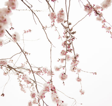 WHEN WINTER MET SPRING - Miniatura 10