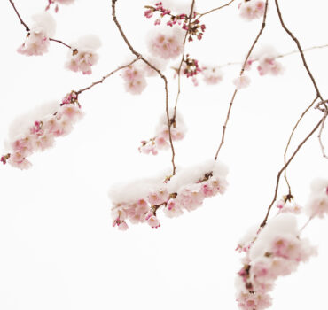 WHEN WINTER MET SPRING - Miniatura 9