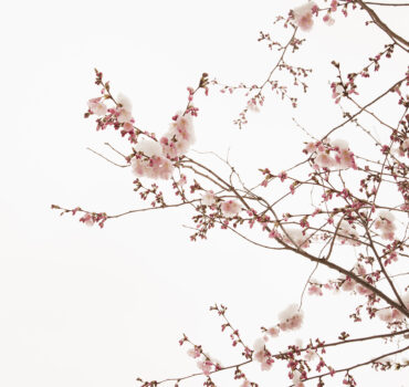 WHEN WINTER MET SPRING - Miniatura 7