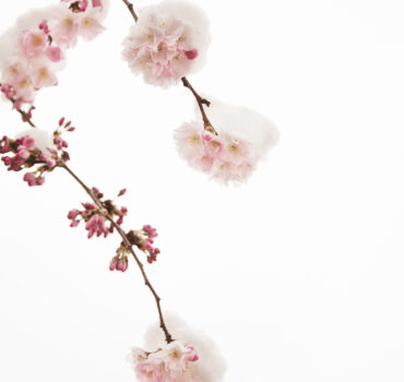 WHEN WINTER MET SPRING - Miniatura 12