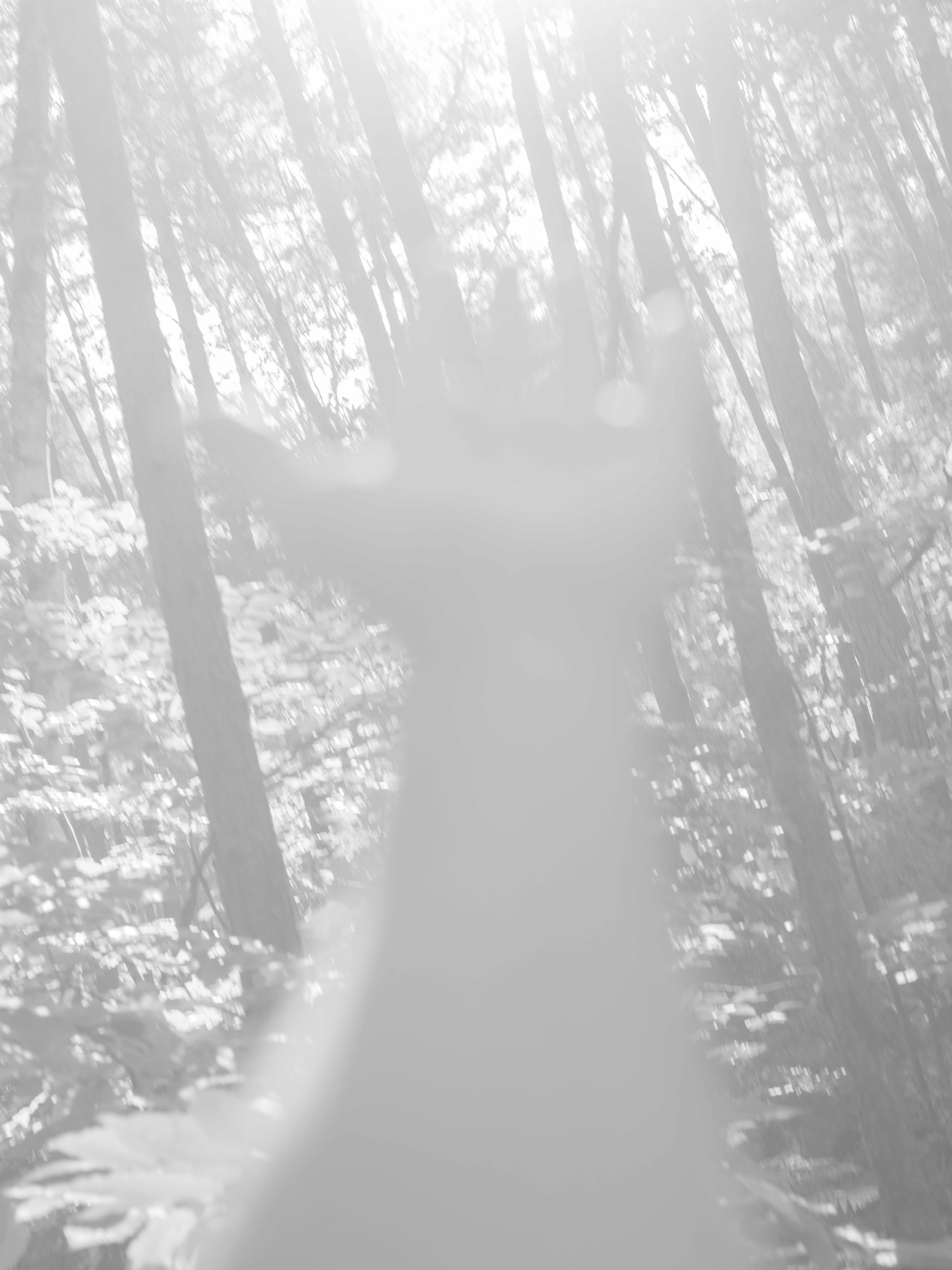 worship