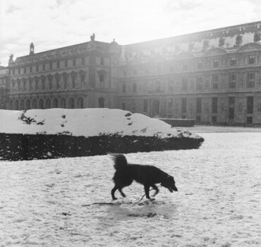 PARIS GLACIAL - Miniatura 8