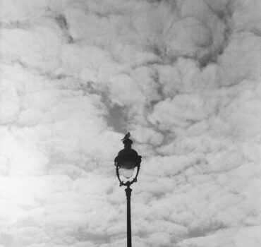 PARIS GLACIAL - Miniatura 6