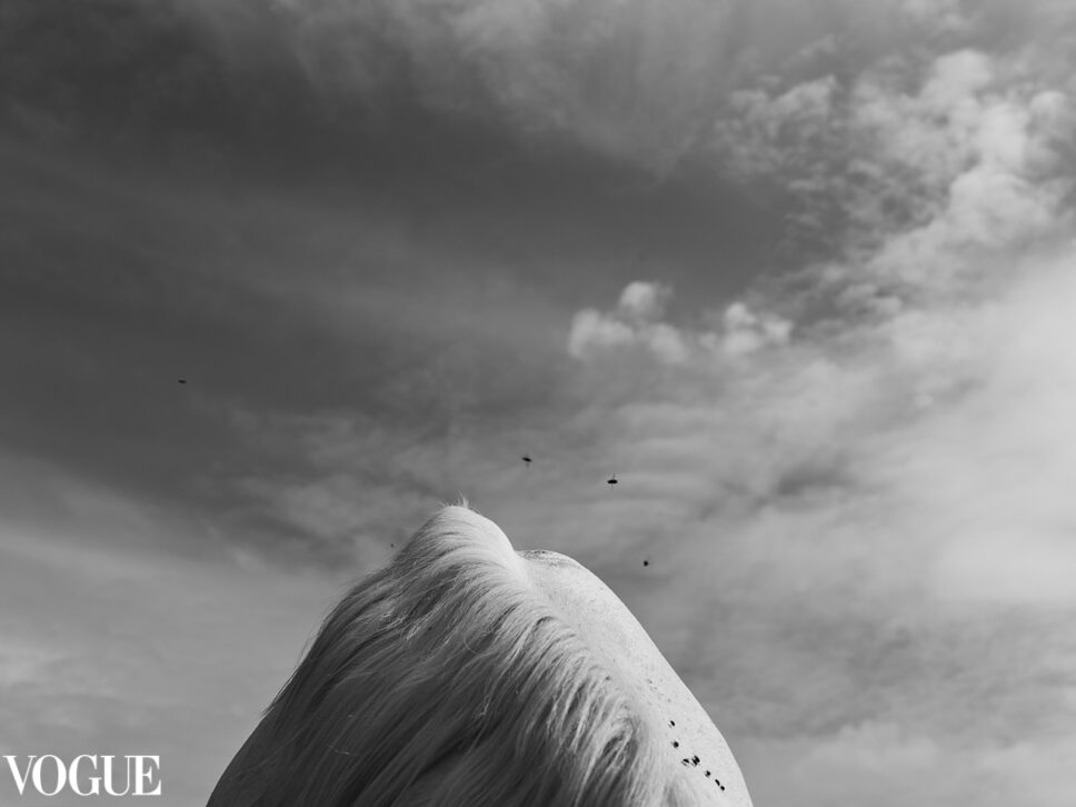 grey horse, black and white fine art photography. Selected by PhotoVogue