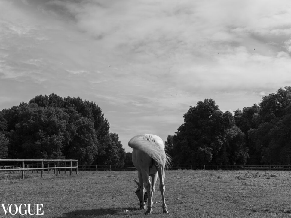 grey horse, black and white fine art photography. Selected by PhotoVogue