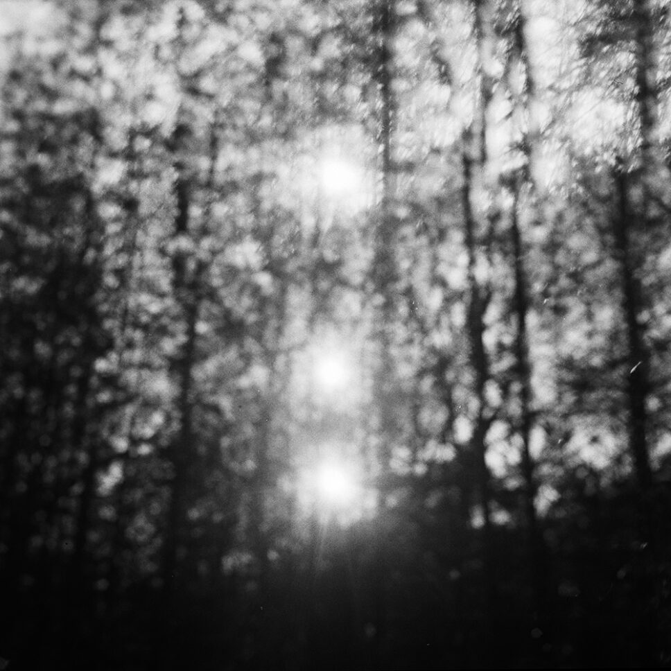 Três sóis sobrepostos entre árvores altas em Fontainebleau, múltipla exposição em filme preto e branco de médio formato.
