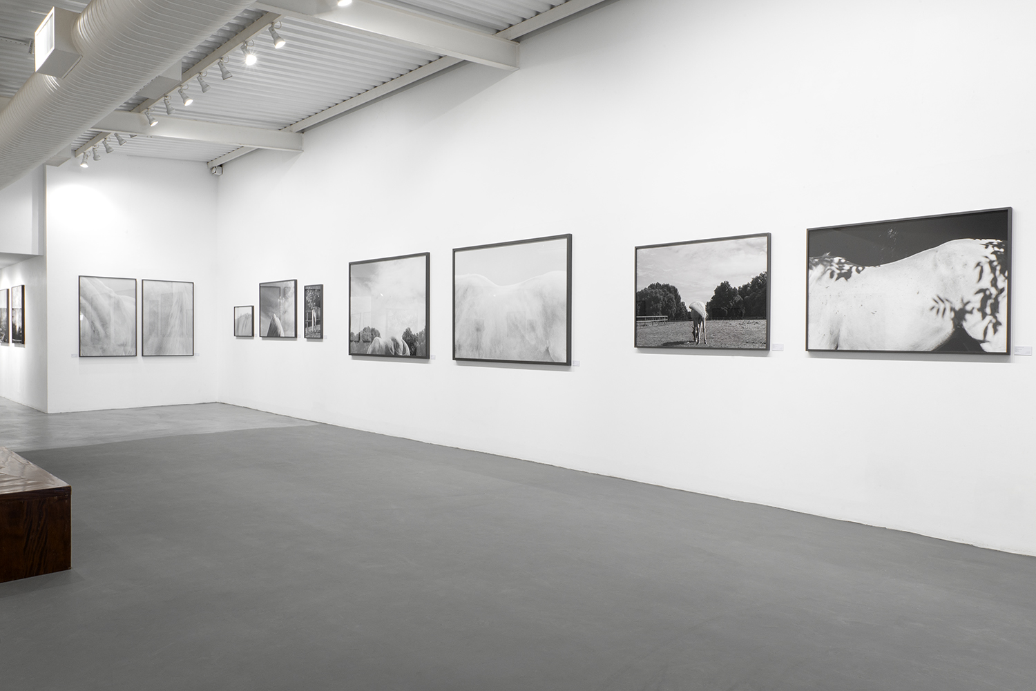Installation view of Acervo Migratório, featuring photographs by Emilia Brandão Carneiro at Galeria Caribé in São Paulo