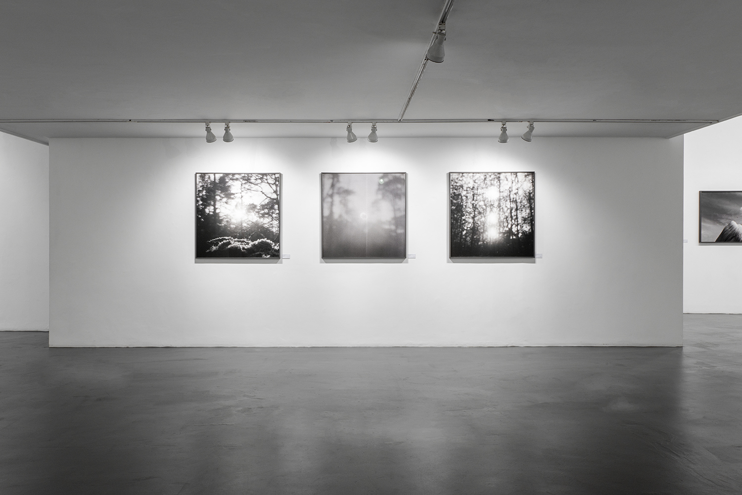 Installation view of Acervo Migratório, featuring photographs by Emilia Brandão Carneiro at Galeria Caribé in São Paulo