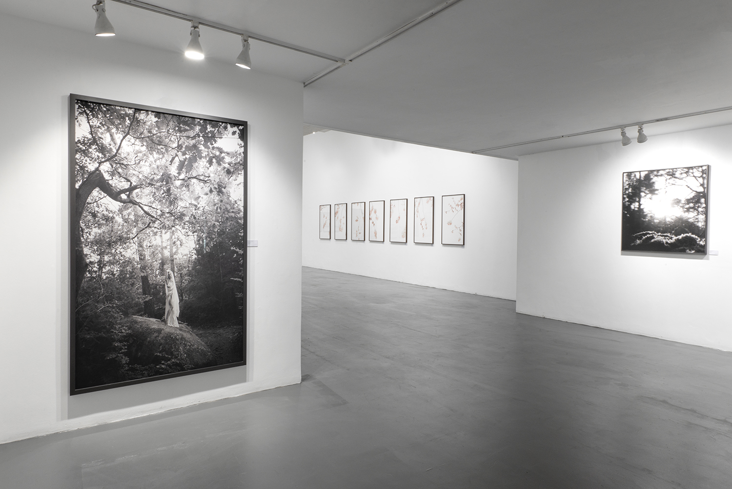 Installation view of Acervo Migratório, featuring photographs by Emilia Brandão Carneiro at Galeria Caribé in São Paulo