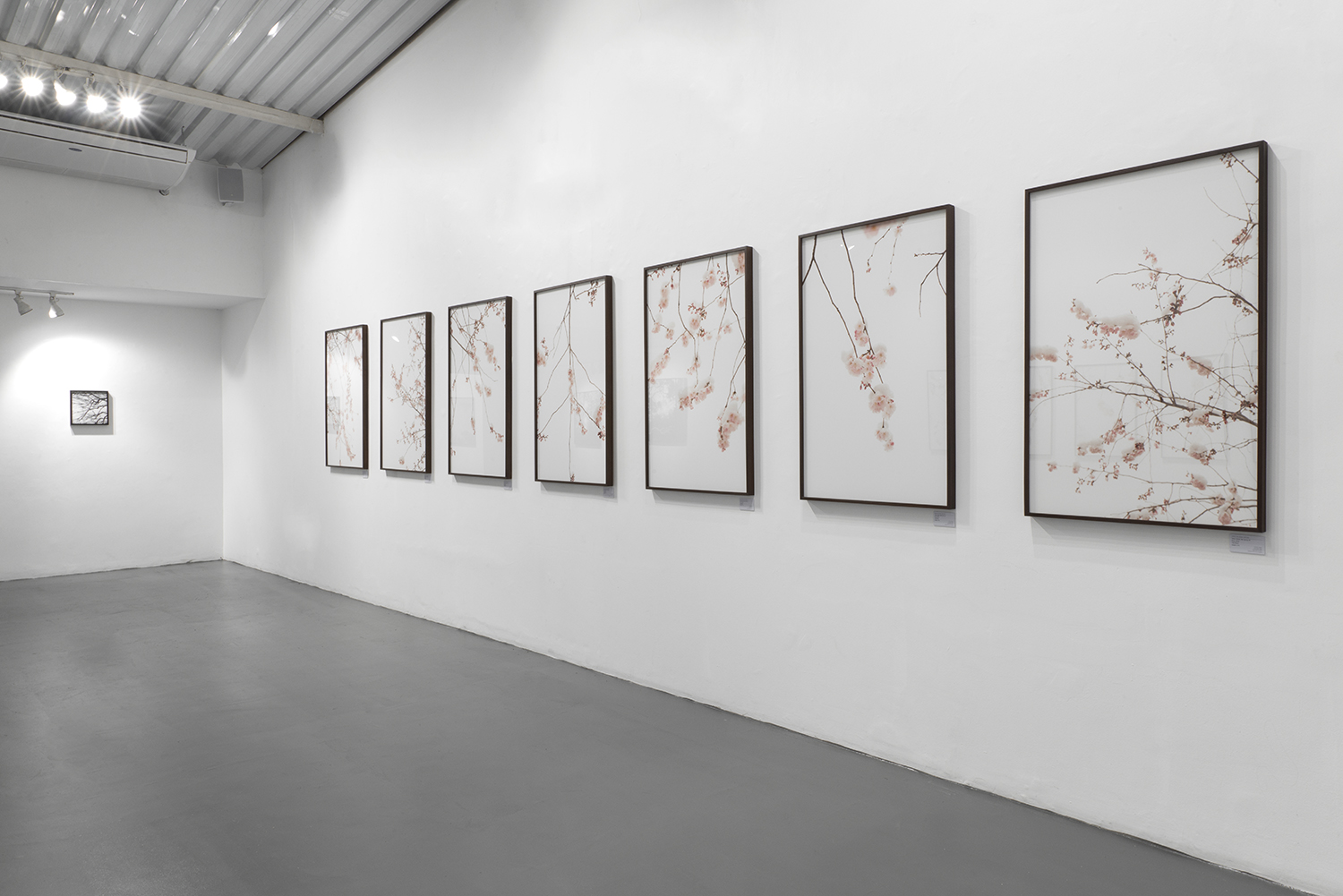 Installation view of Acervo Migratório, featuring photographs by Emilia Brandão Carneiro at Galeria Caribé in São Paulo