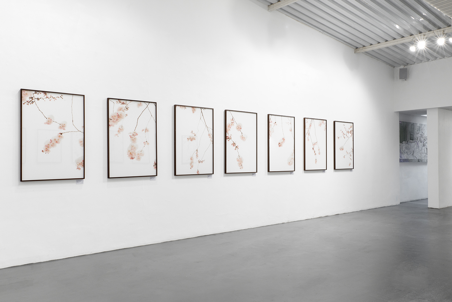 Installation view of Acervo Migratório, featuring photographs by Emilia Brandão Carneiro at Galeria Caribé in São Paulo