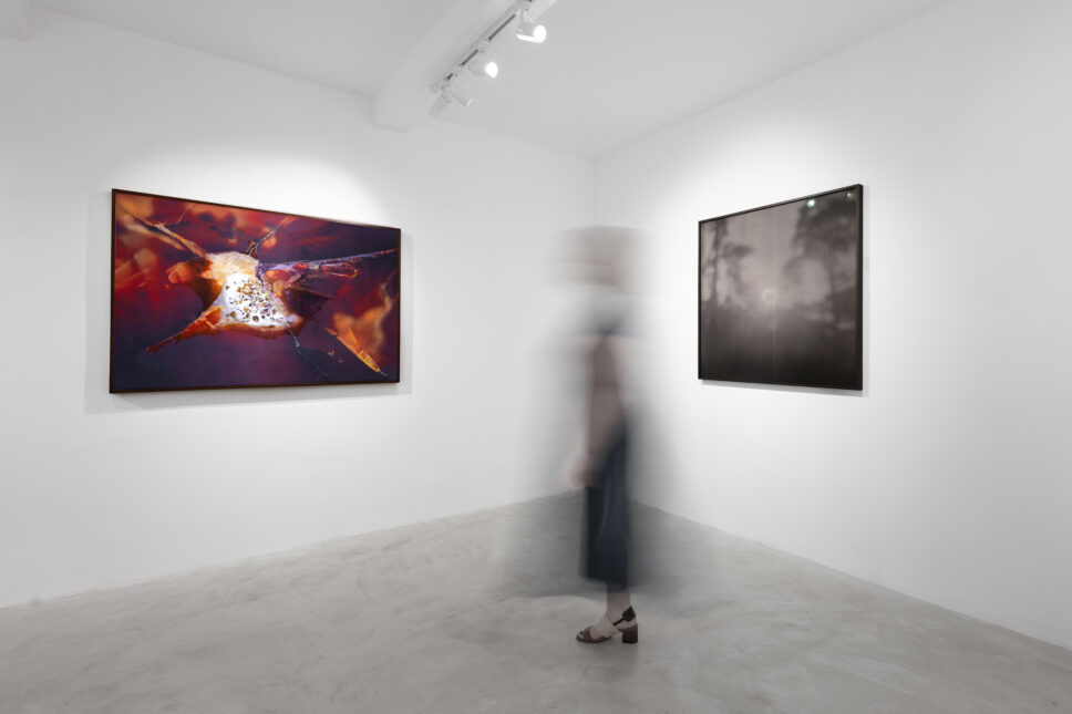 Exposición colectiva en Ateliê Casa Um, São Paulo, con pinturas, esculturas y Study of the Sun I, fotografía analógica de Emilia Brandão Carneiro