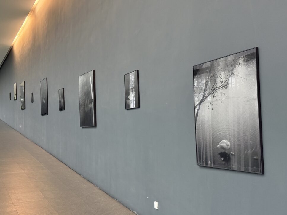 Exposição Sentimental Journey de Emilia Brandão Carneiro no LACS Cascais: fotografias a preto e branco numa parede cinzenta