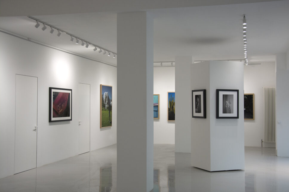 Vista da exposição South.Southwest na RE|Space, Berlim, com fotografias a cores e obras em preto e branco de Emilia Brandão Carneiro